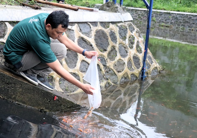 Regenerasi Lingkungan, FTSP UII Tebar Benih 2.000 Ikan di Embung Kladukan